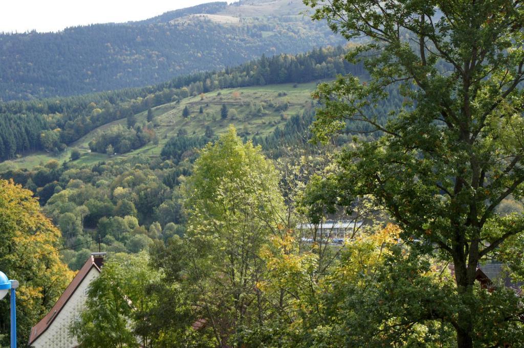 Hotel Restaurant Perle Des Vosges Muhlbach-sur-Munster Exteriör bild
